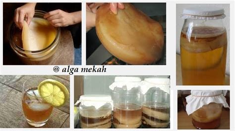 Cream ini berbahan dasar minyak zaitun,air, dan fermentasi dari tumbuhan cendawan mekah (spesies jamur) jadi kalo dipake ya serasa pakek. AQiL ADA BLoG: Alga Mekah :: uNTUK aYAHKU