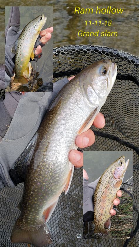 This is a great iowa trout fishing location and an amazing destination for spectacular natural views. Iowa trout all year, second slam of the season! : Fishing