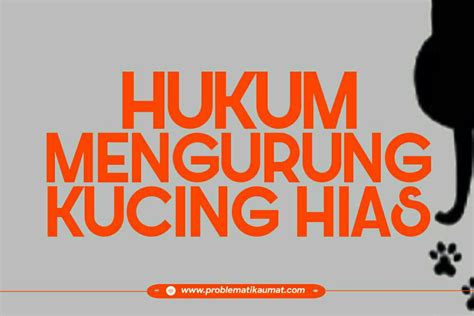 Gejala, diagnosis, prognosis dan rawatan keistimewaan kucing yang kucing tidak tahu jangkitan mata kucing: Hukum Mengurung Kucing Hias - Problematika Umat