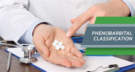 Check spelling or type a new query. Phenobarbital Schedule And Classification: Phenobarb Drug ...