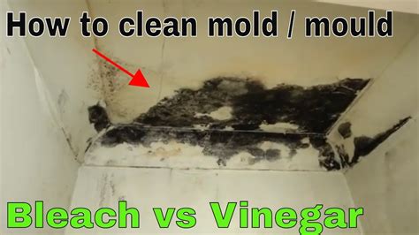 Since humidity is the big driver for mold brands such as zinsser mold killing primer or kilz mold & mildew have the primary function of acting as a stain blocker and work well for a bathroom ceiling area. How to remove and kill mold - Bleach vs vinegar - YouTube