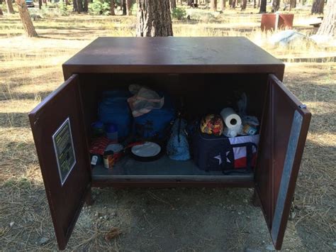 Boy's will take this opportunity to destroy you. Bear Locker - Picture of Fallen Leaf Campgorund, South ...