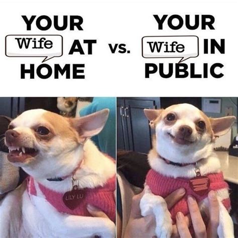 A little humor and pun can cheer up married couples, boyfriend, girlfriend. I Love My Wife Memes - Best Funny Wife Pictures