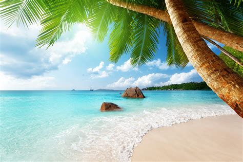 Browse this list of free backgrounds for your desktop or mobile download this free beach wallpaper for your monitor in 1024x768 or 852x480 resolutions. Tropical Beach Wallpapers, Pictures, Images