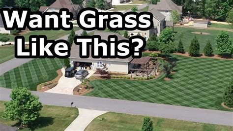 Intelliturf nashville prides itself on the best yarn, backing, infill products and installation methods. What GRASS SEED is Best for YOU? - YouTube