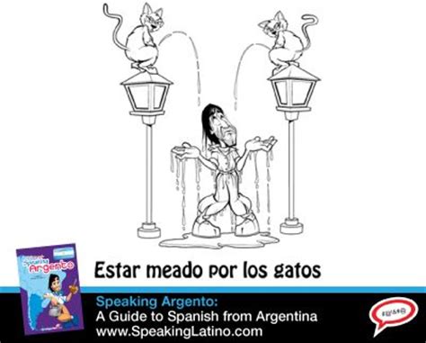 An idiom denoting a futile attempt to control or organize a class of entities which are inherently uncontrollable—as in the difficulty of attempting to command individual cats into a group (herd). 6 Spanish Slang Expressions With The Word CAT | Spanish ...