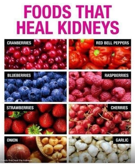 What is a kidney cleanse? Holistic Health: Recovering from and Preventing Kidney ...