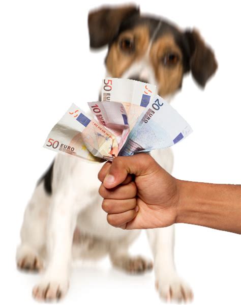 U betaalt geen hondenbelasting voor honden: Mooiberghem.nl - alles wat je zeker niet wilt missen ...