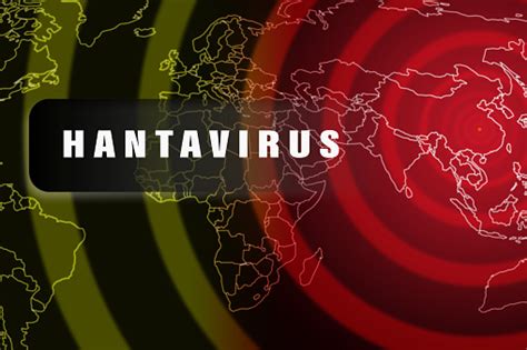 In the political map of the world, the main sites for studying and explaining are the individual states, political unions and alliances. Hantavirus Epidemic In China World Map With Diagram Rings ...