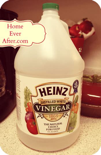 Cleaning a coffee maker without vinegar. How to Clean a Coffee Maker - Home Ever After