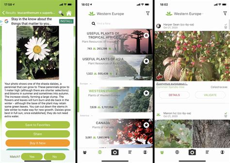 It takes seconds to identify plants before giving you a near overwhelming amount of information on it and how best to care for it. The 8 Best Plant Identification Apps of 2021