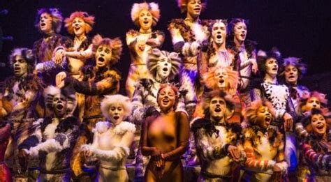 Mti acquires rights to beetlejuice! New moves give Cats a second life at PPAC | WPRO