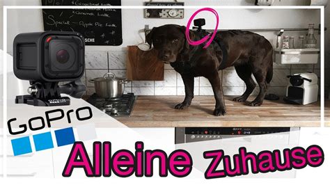 Nun, du hast glück, denn hier sind sie. Hund mit GoPro alleine Zuhause | was passiert? ♡ Milka ...