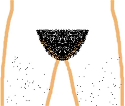 If you want freedom from pubic hair style upkeep, this is the one for you. My Pubic Hair: Female Pubic Hair Pictures