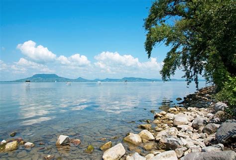 Auf balaton24 findest du über 300 der schönsten ferienhäuser am balaton in ungarn. Agresszív invázió a Balatonon