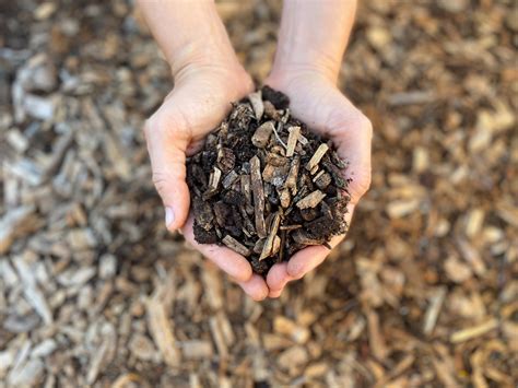 In 1778 the state of new york adopted a coat of arms incorporating the motto excelsior, latin for higher. decades later, the motto sparked the imagination of the young henry wadsworth longfellow, and in. Free Wood Chips Near Me - Back to Eden Gardening