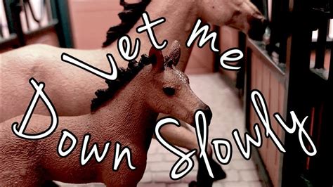 Let me down slowly damian wilson feat andrew holdsworth. Let Me Down Slowly~Schleich Music Video - YouTube