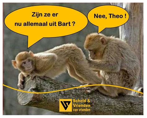 We did not find results for: VRT NWS on Twitter: "De Wever: "Jullie zijn mijn schild en ...