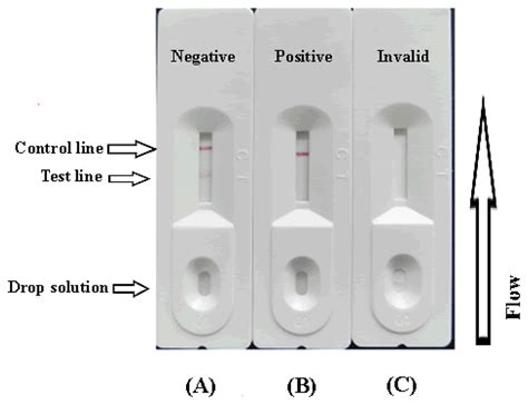 They use similar technology to a pregnancy test and can produce a result within about 30 minutes. Sensors | Free Full-Text | Development of an ...
