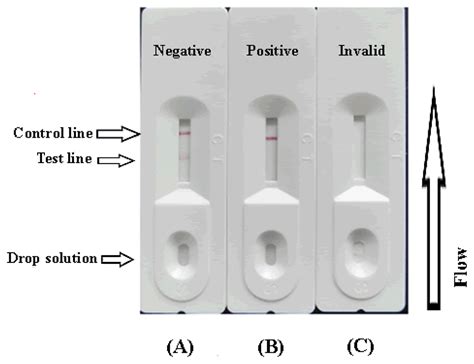 A swab is taken from the. Sensors | Free Full-Text | Development of an ...