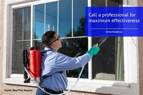 Most pest control companies require an inspection before providing a quote because they need to consider the following Why DIY Pest Control Doesn't Work