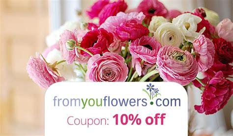 We did not find results for: From You Flowers Coupon Code: Get 10% off with discount ...