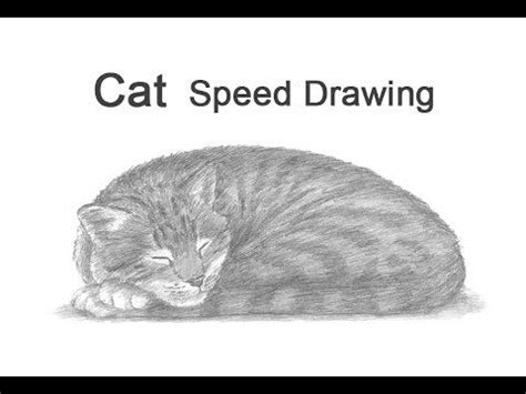 How to draw a cat sleeping! Learn how to draw a Sleeping Cat with this how-to video ...