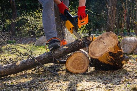 Journeyman plumbers charge an hourly rate of $45 to $90. Tree Pruning Cost Australia | Average Prices & Cost Per Hour