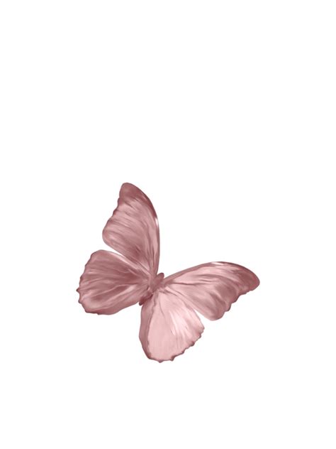 Would it be too much trouble to ask for a pink 70's background ? #nature #butterfly #pink #vintage #aesthetic # ...