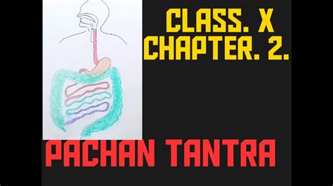 In tantra philosophy, we approach the lingam from a place of the utmost love and respect, the same way we approach the yoni, or vagina. CLASS. X. SCIENCE. CHAPTER. 2. PACHAN TANTRA - YouTube