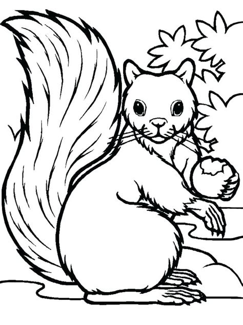 Color the capital and small letters aa to zz. Free Printable Squirrel Coloring Pages at GetColorings.com ...