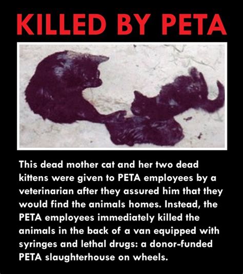 People for the ethical treatment of animals (peta; Who Is Nathan Winograd? - Nathan J Winograd