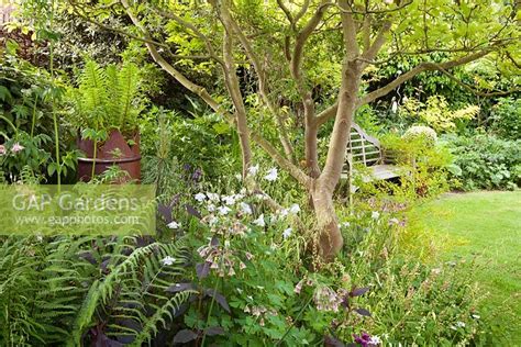 You can also modify them! Shady border under t... stock photo by Lee Beel, Image ...