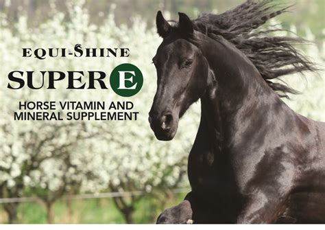 Check spelling or type a new query. Super E - Doctor's Choice Supplements