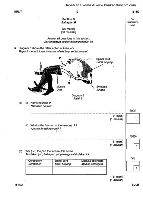 Sains kertas 2 mei 2007 2 jam. Soalan percubaan spm sains kertas 2 perlis 2011