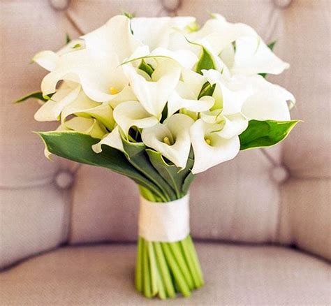 Bunga gantung bisa menjadi dekorasi yang tepat untuk mempercantik rumah. 15 Bunga Tangan Pengantin Yang Menarik & Istimewa