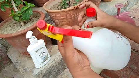 Neem oil is another safe insecticide that can be directly to active infestations. How To Get Rid Of Mealybugs/Mealybugs Treatment - YouTube