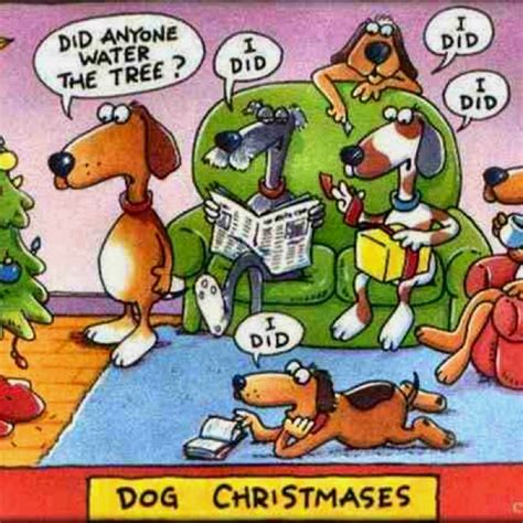 The christian christmas cartoons on this list teach children about the birth of jesus and the joy he brings to the world. Pin on Funny Dog Humor