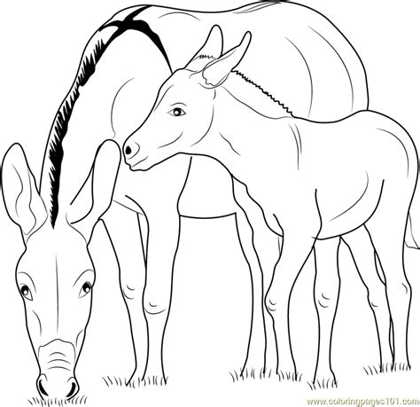 Maybe you would like to learn more about one of these? Baby Zedonk with Donkey Mother Coloring Page - Free Donkey ...