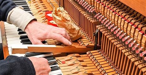 For most of the more reputable piano brands, the selection process for the wood used in the for the most part, a typical piano will use a spruce soundboard, maple pin block for tuning stability pianos in that condition will cost more to fix than they would be purchased new. How much does a piano tuner cost? | Piano, Tuner, Cost