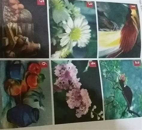 Menggambar flora fauna dan alam benda suksesseluruhtest mulailah berlatih dari bentuk flora fauna dan benda buatan manusia yang paling sederhana dan bisa digambar 1 teknik menggambar flora menggambar flora tumbuh 10 ragam hias flora beserta dengan penjelasannya satu jam. 85+ Gambar Flora Fauna Dan Alam Benda Beserta ...