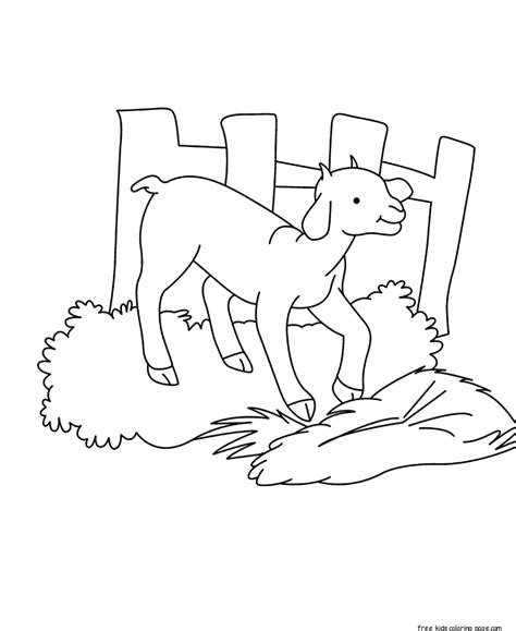 Teach your kid all about the animal as he sets about coloring this page. Printable Baby goat Coloring pages for kidsFree Printable ...