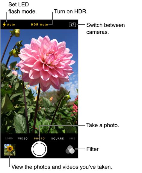 Check spelling or type a new query. how to turn off camera filter - Apple Community