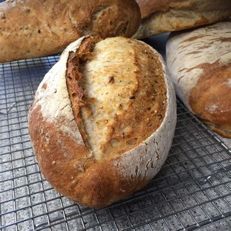 How to keep cornbread from crumbling. Multigrain Ciabatta - Breads & Rolls - New Zealand