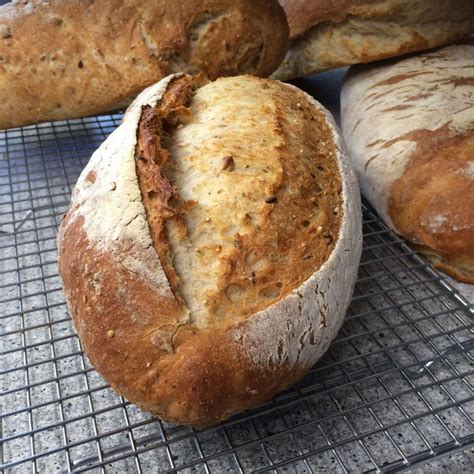 When you use too much liquid, you can inhibit or even kill the action of the yeast, leaving your loaf to rise then collapse. Multigrain Ciabatta - Breads & Rolls - New Zealand