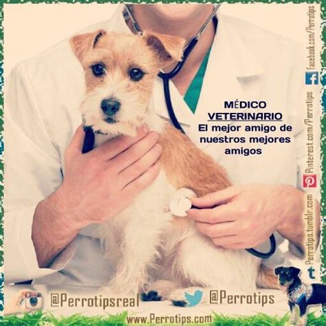 Maybe you would like to learn more about one of these? Hoy es el día del médico veterinario. El mejor amigo de ...