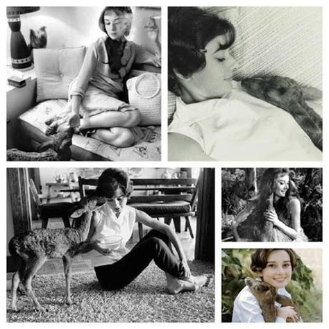 6pm score deals on fashion brands: My Favourite Audrey Hepburn Books - Paperblog