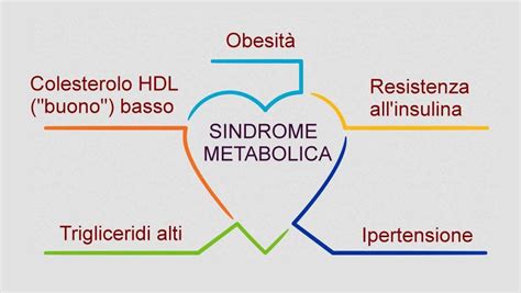 Ma soprattutto, come si previene e come si contrasta l'insulinoresistenza? Sindrome metabolica: prevenirla con tre mosse ...