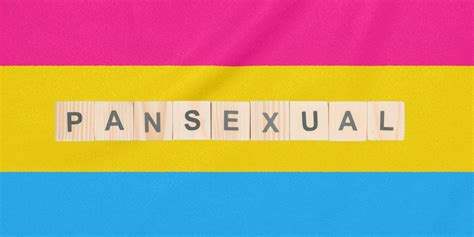 The romantic counterpart is panromantic. What It Means to Be: Pansexual - AskMen