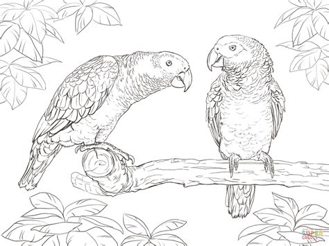 Free rainbow lorikeet coloring and printable page. Rainbow Lorikeet coloring, Download Rainbow Lorikeet ...